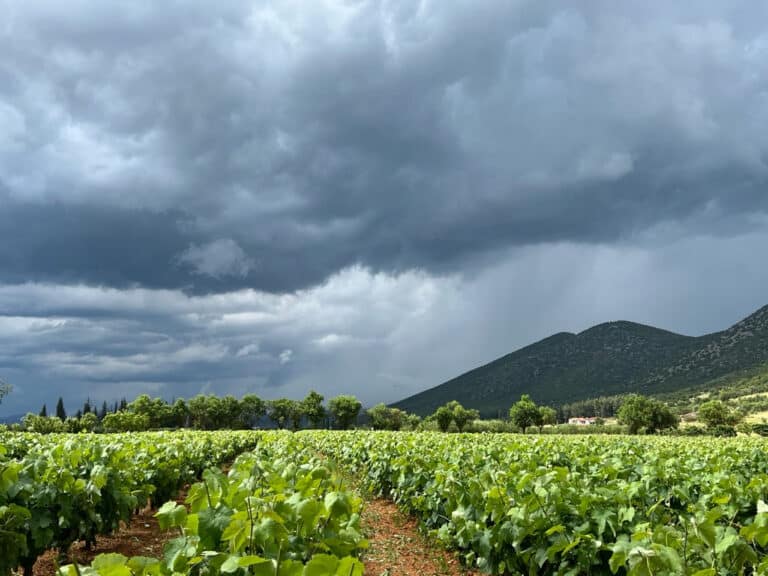 Ζευγοκατιό Αρκαδίας