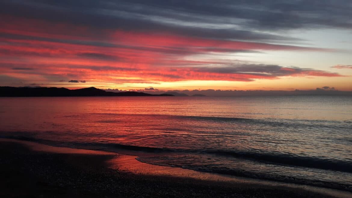 Σχοινιάς Σχοινιάς